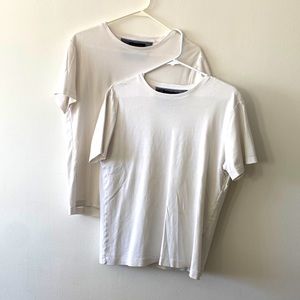 Banana Republic Dress Crew Tee, Medium 2 Pack